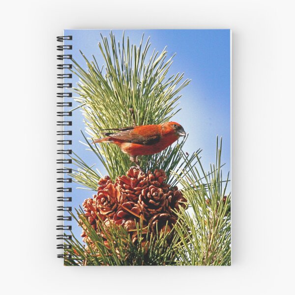 Item preview,  Red Crossbill designed and sold by Enola Gay Wagner.