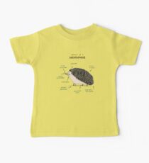 Anatomy of a Hedgehog Baby Tee