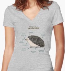 Anatomy of a Hedgehog Women's Fitted V-Neck T-Shirt