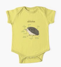 Anatomy of a Hedgehog One Piece - Short Sleeve