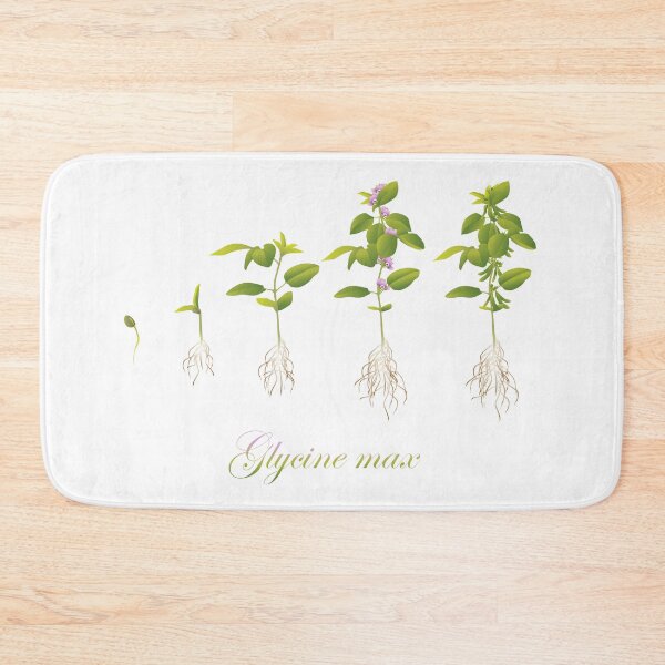 Item preview, Soybean (Glycine max) plant development designed and sold by thevexedmuddler.