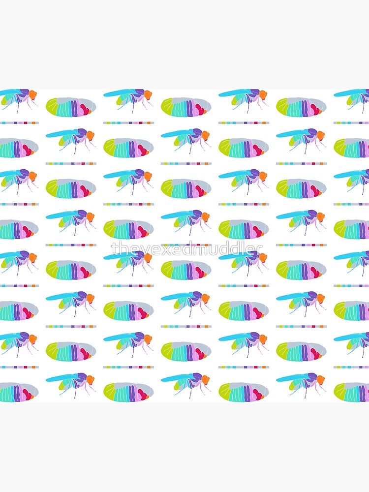 Drosophila Hox Genes by thevexedmuddler