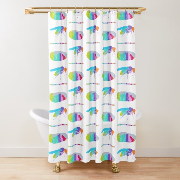 Drosophila Hox Genes Shower Curtain