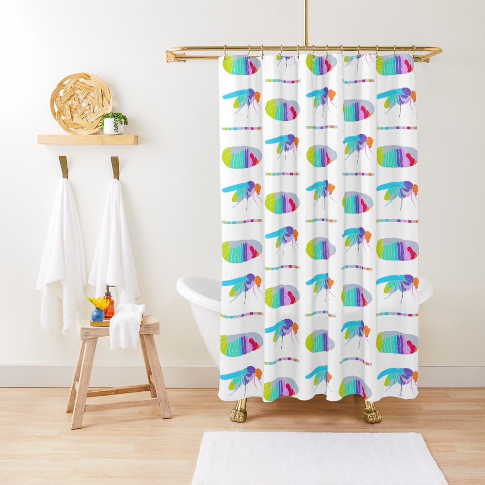Drosophila Hox Genes Shower Curtain