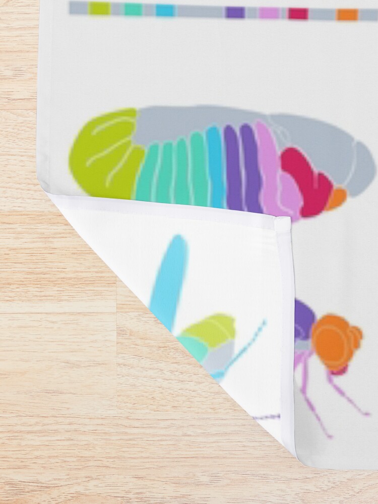 Alternate view of Drosophila Hox Genes Shower Curtain