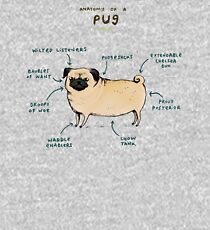 Anatomy of a Pug Kids Pullover Hoodie