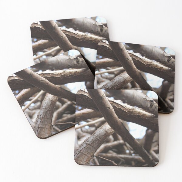 Item preview, Ancient woods designed and sold by ErinThorn.