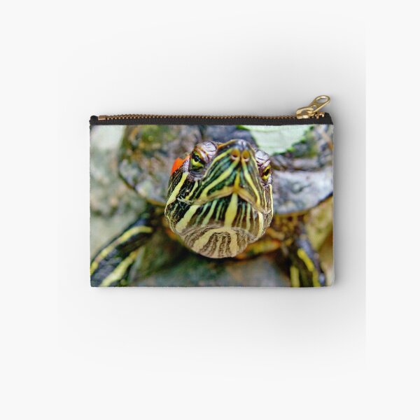 Item preview, A nosey Red Eared Terrapin designed and sold by AnnDixon.