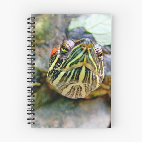 Item preview, A nosey Red Eared Terrapin designed and sold by AnnDixon.
