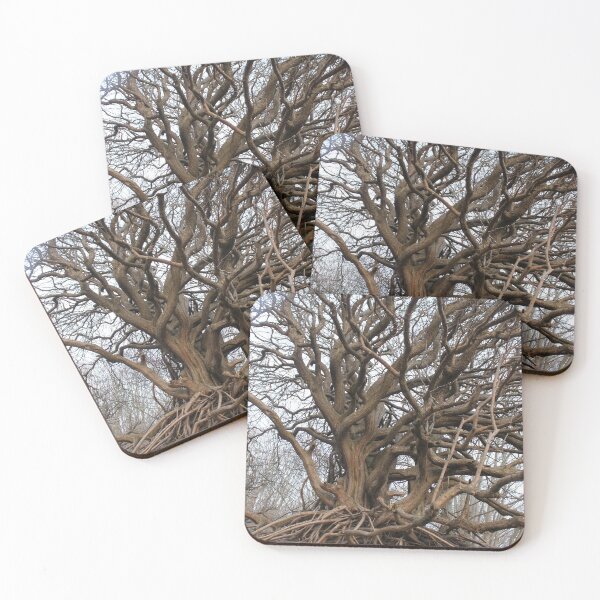 Item preview, Spiegelbaum designed and sold by ErinThorn.
