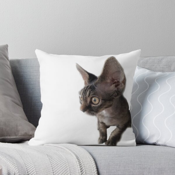 Item preview, Devon Rex In Window designed and sold by RoherynDesign.