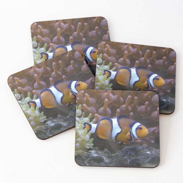 Item preview, Nemo designed and sold by amdavies.