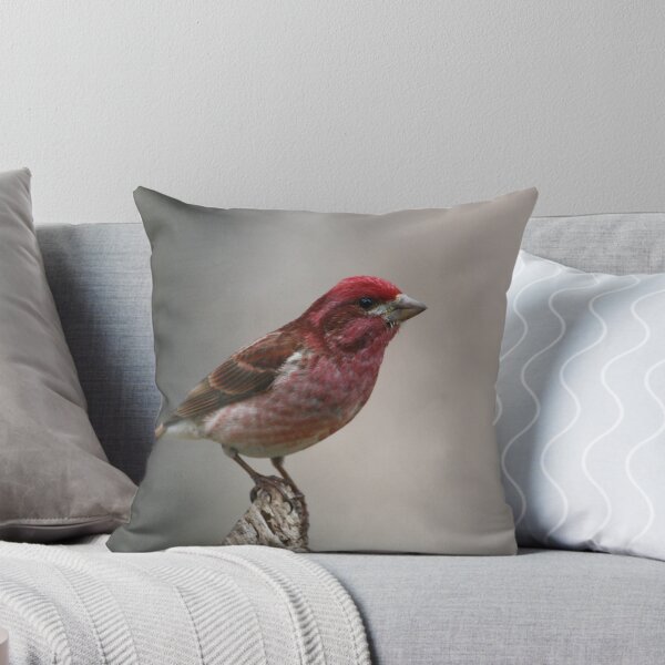 Aperçu de l'œuvre Purple Finch créée et vendue par Enola Gay Wagner.
