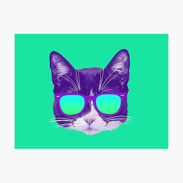 Cool Cat with Sunglasses Photographic Print