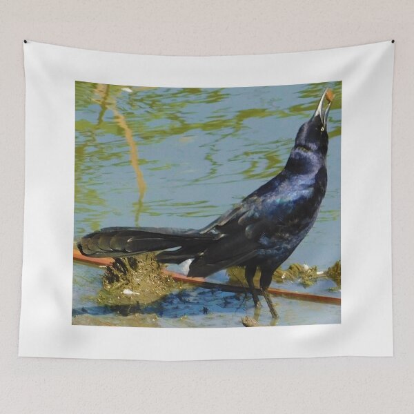 Item preview, Gobbling grackle designed and sold by MChabalaRussell.