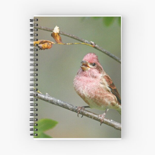Item preview, Purple Finch designed and sold by Enola Gay Wagner.