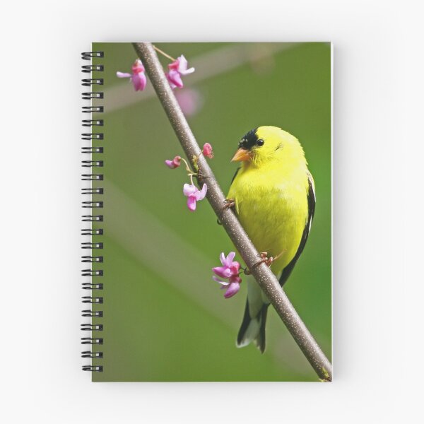 Item preview, American Goldfinch designed and sold by Enola Gay Wagner.