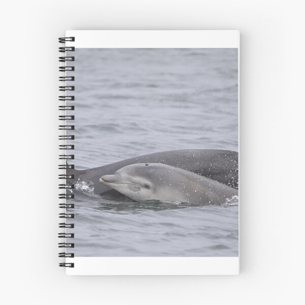 Item preview, Wild and free dolphins,  mother and baby designed and sold by chanonry.