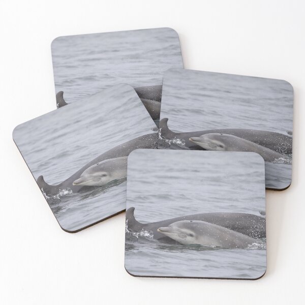 Item preview, Wild and free dolphins,  mother and baby designed and sold by chanonry.