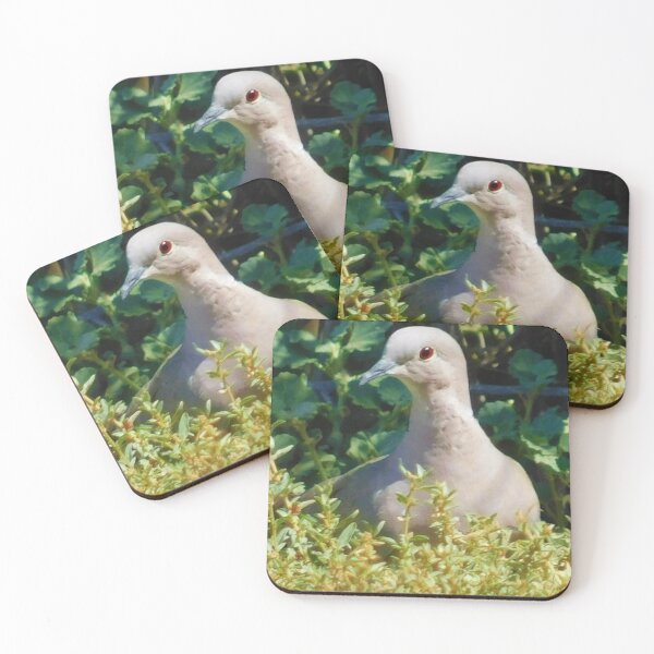Item preview, Mourning dove designed and sold by MChabalaRussell.