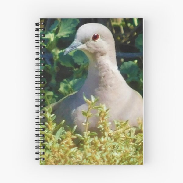 Item preview, Mourning dove designed and sold by MChabalaRussell.