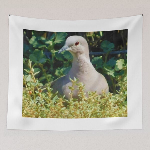 Item preview, Mourning dove designed and sold by MChabalaRussell.