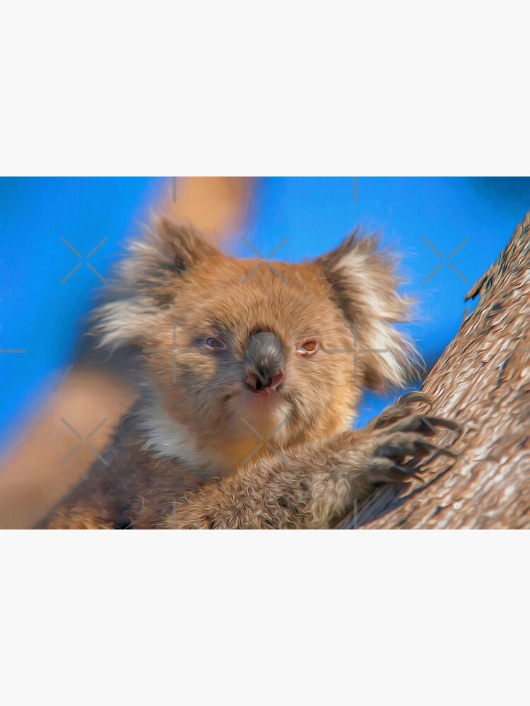 Cute Koala (digital painting) by RayW