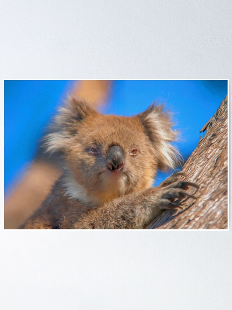 Alternate view of Cute Koala (digital painting) Poster