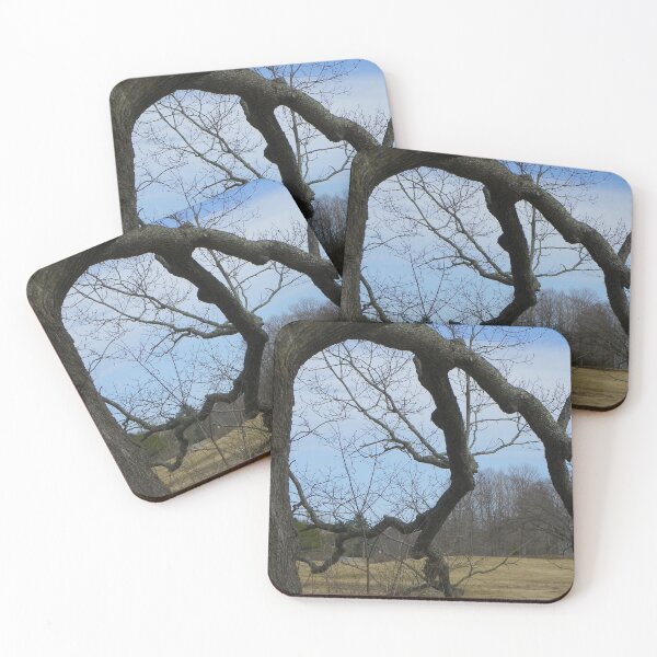 Item preview, Big Old Tree designed and sold by MaryinMaine.