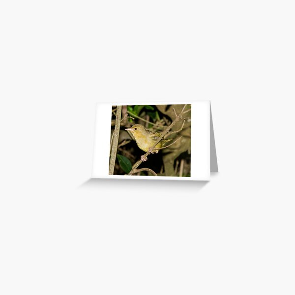 Ready to Go Greeting Card