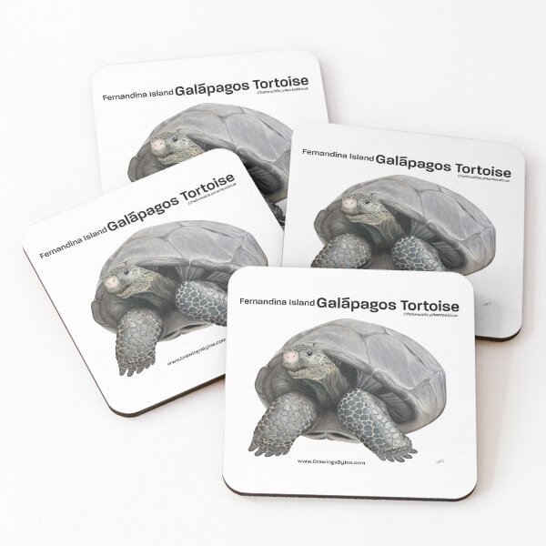 Item preview, Fernandina Island Galapagos Tortoise designed and sold by Joe Richichi.