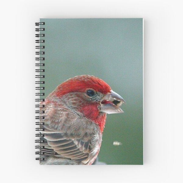 Item preview, House Finch designed and sold by Enola Gay Wagner.