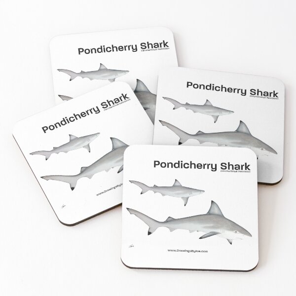 Item preview, Pondicherry Shark designed and sold by Joe Richichi.