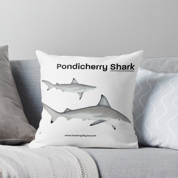 Item preview, Pondicherry Shark designed and sold by Joe Richichi.