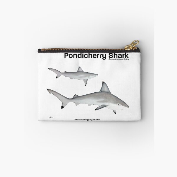Item preview, Pondicherry Shark designed and sold by Joe Richichi.
