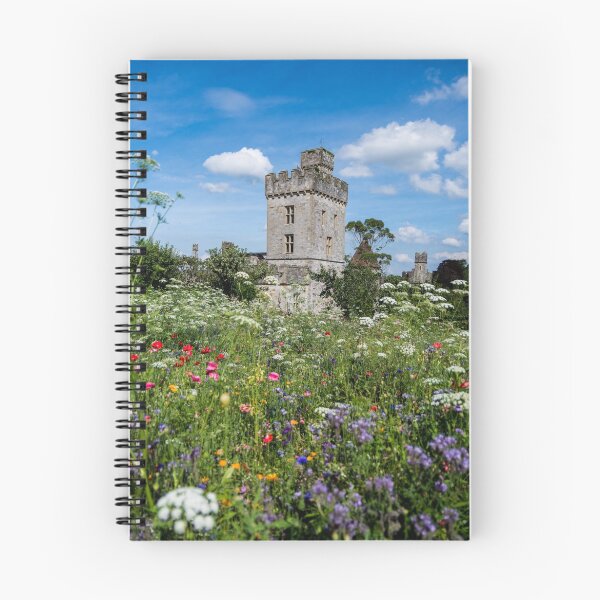 Item preview, Lismore Castle gardens designed and sold by Martina Fagan.