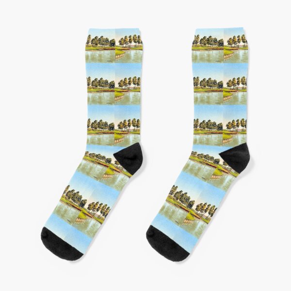 Sawgrass Golf Course Hole 17 Socks