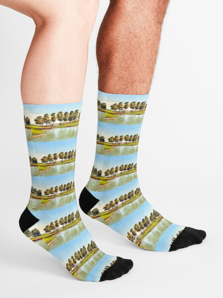 Alternate view of Sawgrass Golf Course Hole 17 Socks