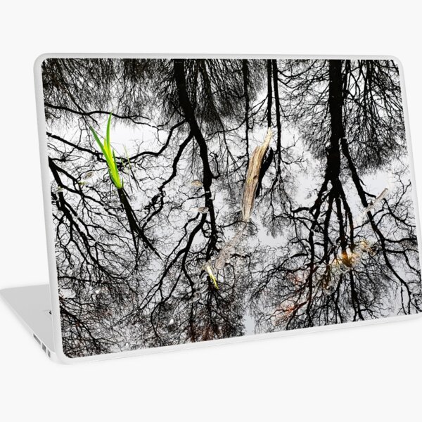Untitled (Reflections 1) Laptop Skin