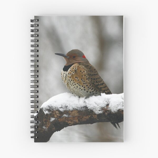 Item preview, Northern Flicker designed and sold by Enola Gay Wagner.