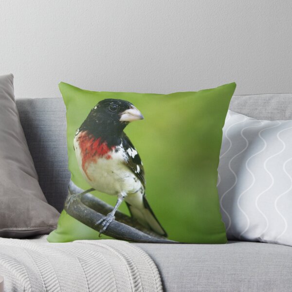 Aperçu de l'œuvre Rose-breasted Grosbeak créée et vendue par Enola Gay Wagner.
