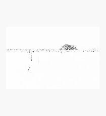 White Photographic Print
