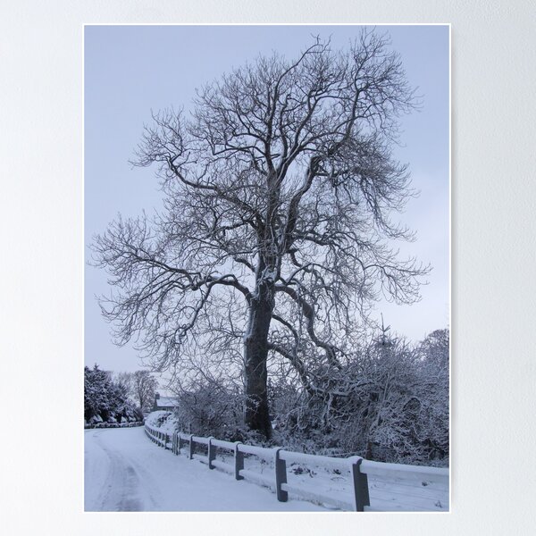 Item preview, Winter Wonderland tree designed and sold by Funattic.