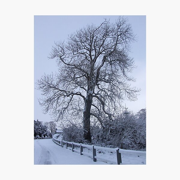 Item preview, Winter Wonderland tree designed and sold by Funattic.