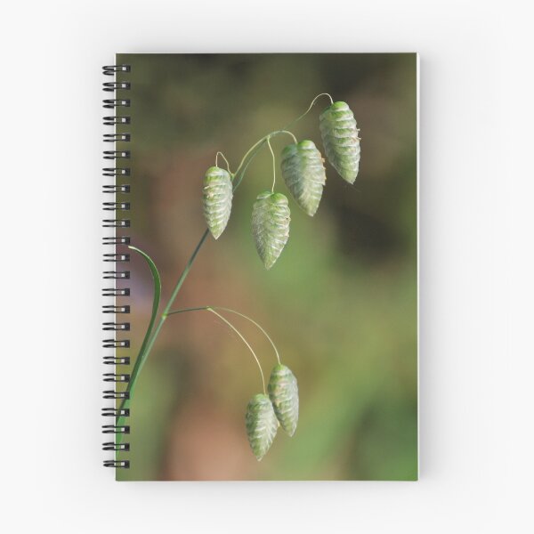 Item preview, Grass seed heads designed and sold by brianhardy247.