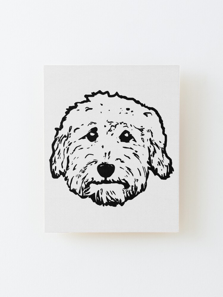 do labradoodles slobber