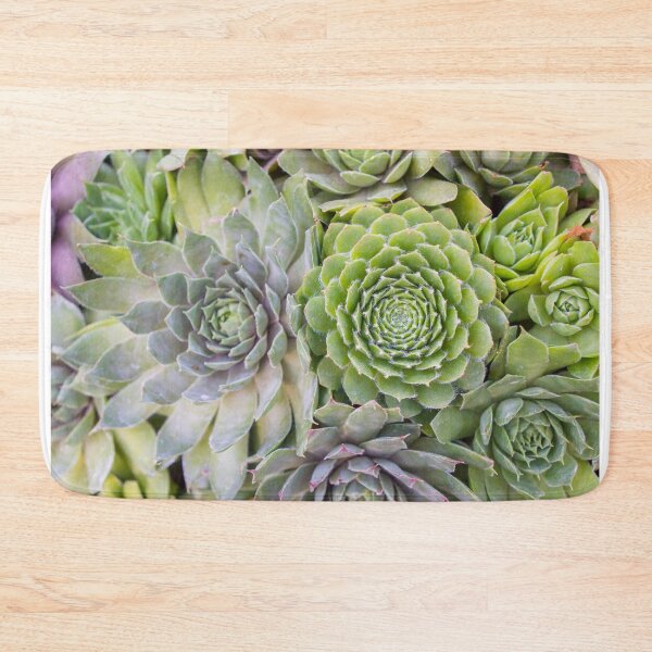 Item preview, Bountiful Succulents designed and sold by aprilbernphoto.