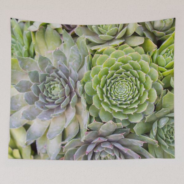 Item preview, Bountiful Succulents designed and sold by aprilbernphoto.