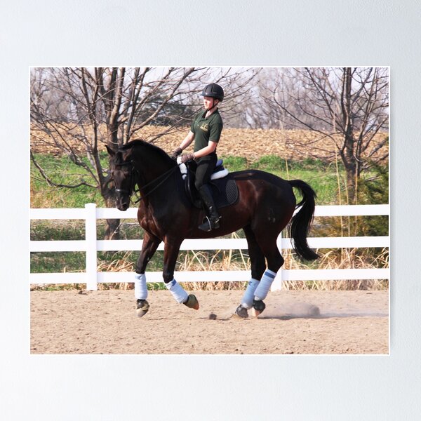 Item preview, Training designed and sold by Karen  Rubeiz.