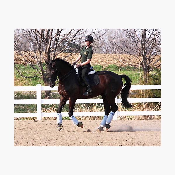 Item preview, Training designed and sold by Karen  Rubeiz.